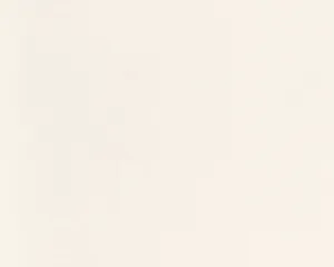 Elegant Cream Colored Background Wallpaper