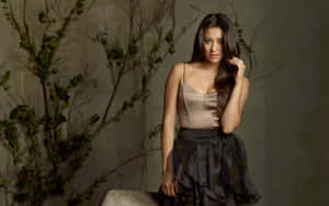 Elegant Evening Attire Shay Mitchell Wallpaper