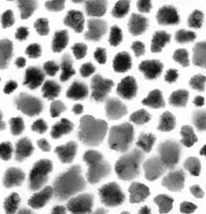 Elegant Wallpaper With Black Dots Wallpaper