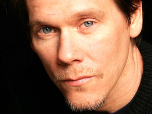 Elephant White Jimmy Kevin Bacon Wallpaper