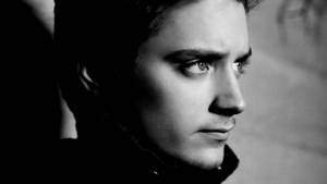 Elijah Wood Side View Wallpaper