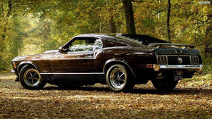 Emberglo Poly Ford Mustang 1966 Wallpaper