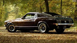 Emberglo Poly Ford Mustang 1966 Wallpaper