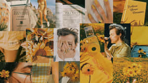 Embrace Art And Individuality Wallpaper
