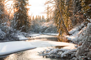 Embrace The Beautiful Winter Wallpaper