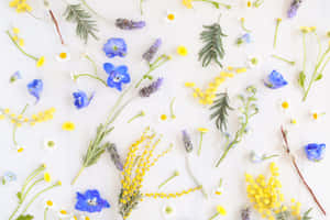 Embrace The Beauty Of Springtime With This Serene, Sunlit Aesthetic Wallpaper. Wallpaper