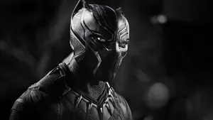 Embrace The Wild Side Of Nature With Black Panther Landscape Wallpaper