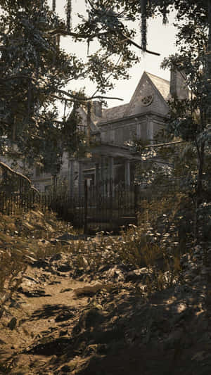 Embrace Your Natural Beauty Wallpaper