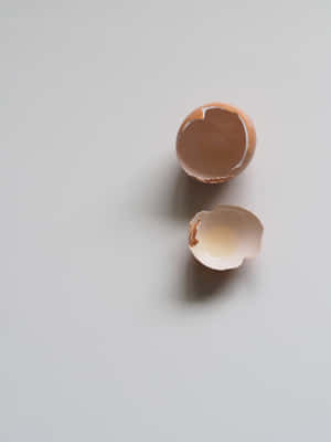 Empty Egg Shell Wallpaper