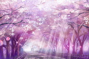 Enchanted Cherry Blossom Path Anime Scene Wallpaper
