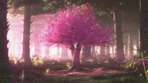 Enchanted Forest Cherry Blossom Tree Anime Wallpaper