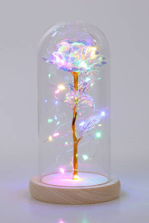 Enchanting Artificial Purple Rose In Glass Dome Wallpaper