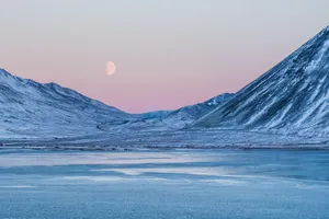 Enchanting Winter Wonderland Wallpaper