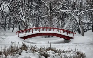 Enchanting Winter Wonderland Wallpaper