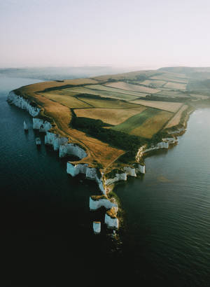 Engaging Portrait Of Harry Styles In Concert Wallpaper