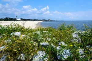 Enjoy A Beach Day In Gulfport, Mississippi Wallpaper