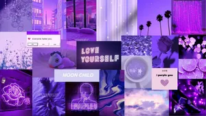 Enjoy A Luxurious Lavender Aesthetic With This Laptop Wallpaper