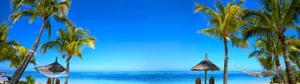 Enjoy A Magnificent Sunrise Overlooking The Horizon Wallpaper