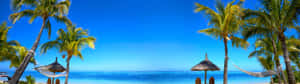 Enjoy A Magnificent Sunrise Overlooking The Horizon Wallpaper