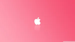 Enjoy A Simple Pink Wallpaper Wallpaper