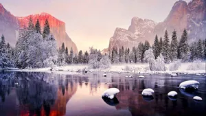 Enjoy A Winter View Wallpaper
