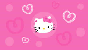 Enjoy Computer Time With Your Favourite Kitty Wallpaper