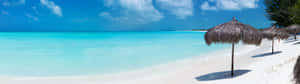 Enjoy Nature's Most Refreshing Sight Wallpaper