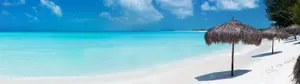 Enjoy Nature's Most Refreshing Sight Wallpaper
