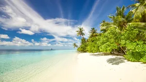 Enjoy Some Beach Time And Embrace The Sun! Wallpaper