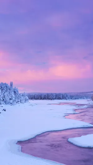 Enjoy The Beauty Of A Pink Sunset From The Comfort Of Your Iphone Wallpaper