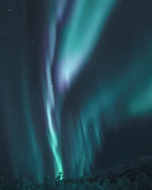 Enjoy The Beauty Of Aurora Borealis On Your Android Device Wallpaper