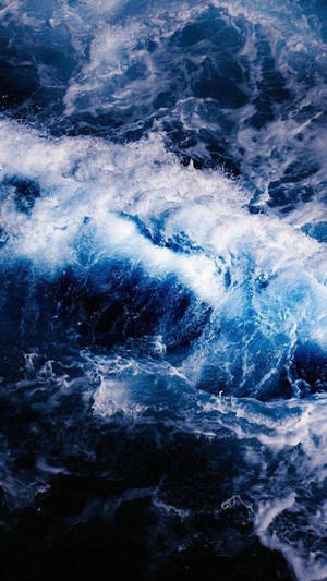 Enjoy The Beauty Of Nature. Wallpaper