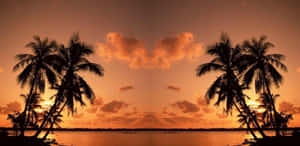 Enjoy The Beauty Of Nature With Scenic Desktop Wallpaper