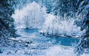 Enjoy The Beauty Of The Season Wallpaper