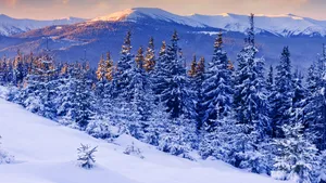 Enjoy The Best Of The Season! Wallpaper