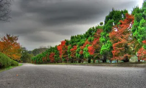 Enjoy The Breathtaking Beauty Of Nature. Wallpaper