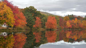 Enjoy The Breathtaking Colors Of New England's Autumn Landscape. Wallpaper