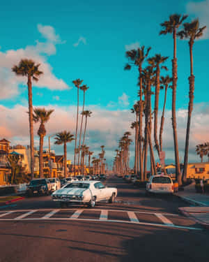 Enjoy The California Sun This Summer! Wallpaper