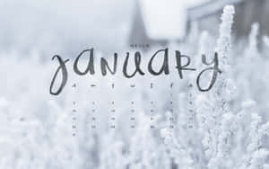 Enjoy The Cute Joys Of January! Wallpaper