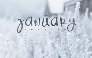 Enjoy The Cute Joys Of January! Wallpaper