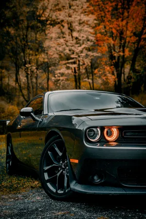 Enjoy The Power And Style Of The Dodge Challenger 4k Wallpaper