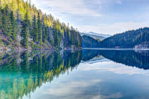 Enjoy The Stunning Clarity Of 4k Ultra Hd Hdr Wallpaper