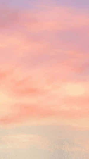 Enjoy The Sweet Summer Vibes With A Peach Iphone Wallpaper