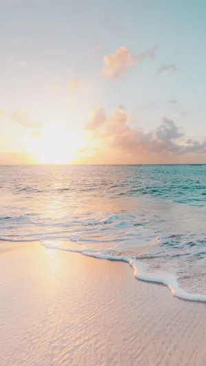 Enjoy The Warmth Of A Beautiful Summer! Wallpaper