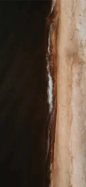 Enjoy The Warmth Of Brown And White Contrasted Wallpaper To Suit Your Home Décor Wallpaper