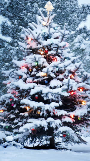 Enjoy This Beautiful Winter Landscape Of Christmas Snow On Your Iphone Wallpaper
