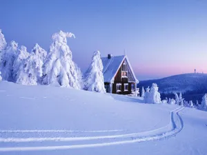 Enjoying A Picturesque Winter Snowfall Wallpaper