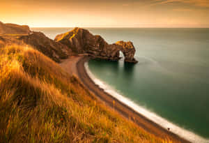 Enjoying Nature's Scenic View Of Google Wallpaper