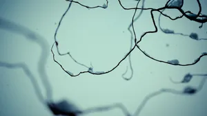 Enjoying The Beauty Of A Simple Winter Wallpaper