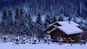 Enjoying The Beauty Of The Winter Season Wallpaper
